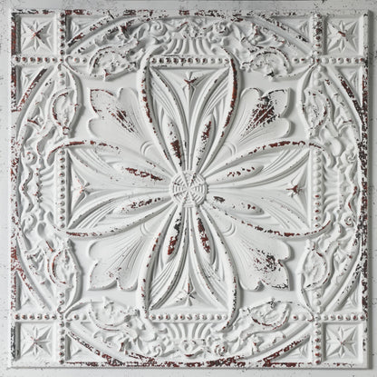 PAINTSDECOR PL10 Distress crack white black