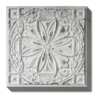 PAINTSDECOR PL10 Distress crack white black