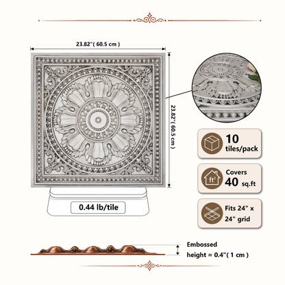 PAINTSDECOR PL17 Aged white PVC ceiling tile product detail