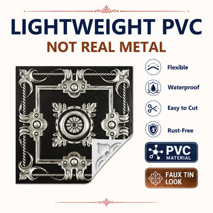 PL29TRADITIONALSILVER media