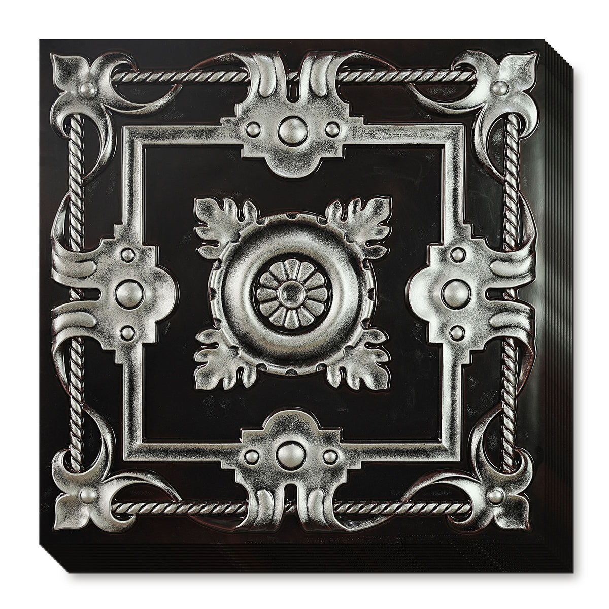 PL29TRADITIONALSILVER media