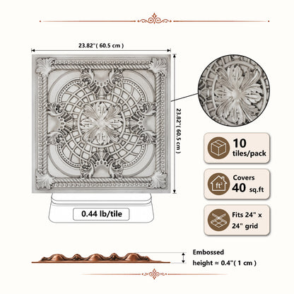 PAINTSDECOR PL31 Aged white ceiling tile product image