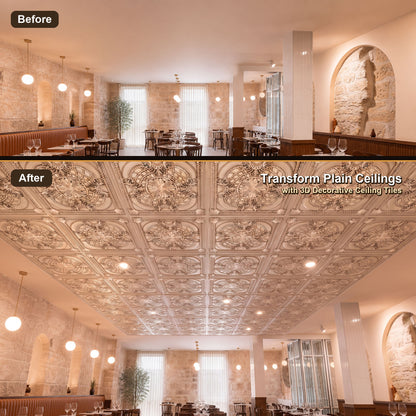 PAINTSDECOR PL31 Aged white ceiling tile product image
