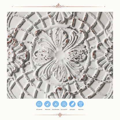 PAINTSDECOR PL31 Distress crack white black ceiling tile product image
