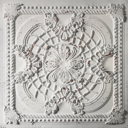 PAINTSDECOR PL31 Distress crack white black ceiling tile product image