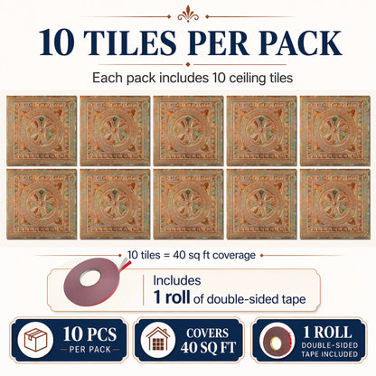 PAINTSDECOR PL01 Palazzo Clay 10-pack coverage