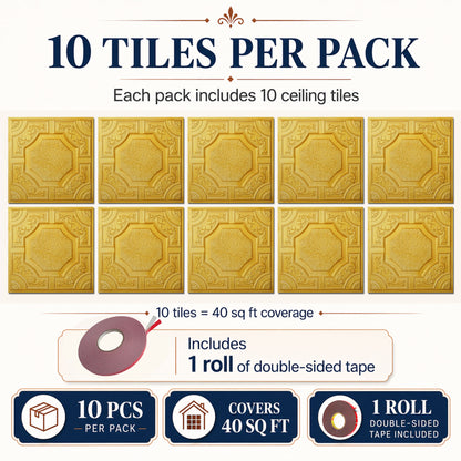 PAINTSDECOR PL02 Golden 10-pack coverage