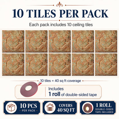 PAINTSDECOR PL02 Palazzo Clay 10-pack coverage