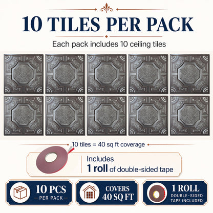 PAINTSDECOR PL02 Traditional silver 10-pack coverage