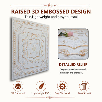 PAINTSDECOR PL04 Aged white gold product view