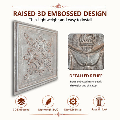 PAINTSDECOR PL07 Weathered Iron PVC ceiling tile 6