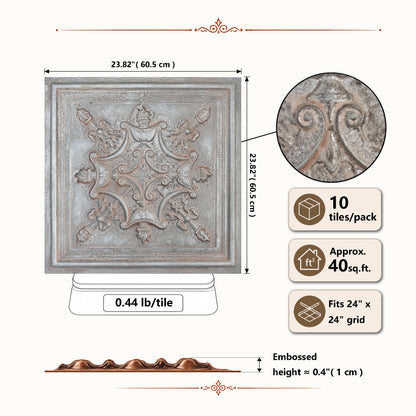 PAINTSDECOR PL07 Weathered Iron PVC ceiling tile 7