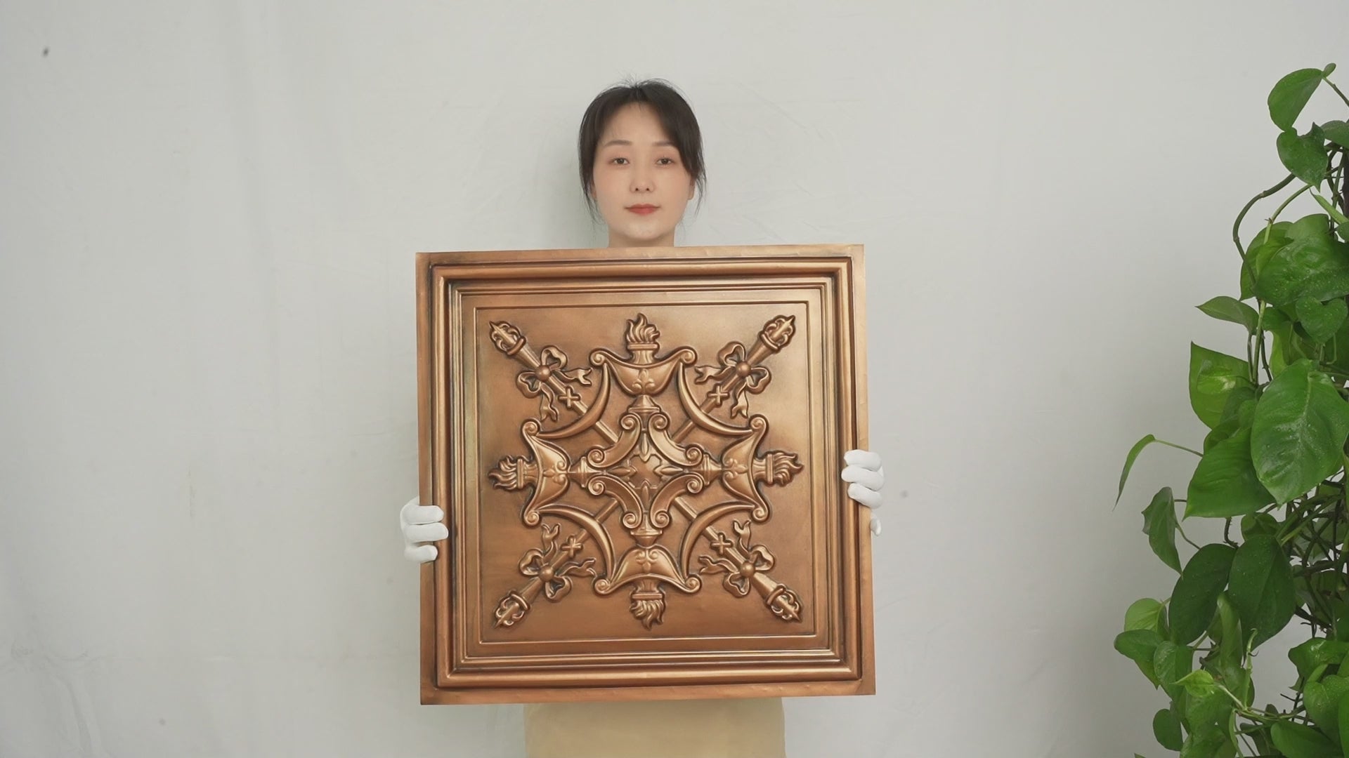 PAINTSDECOR PL07 product collection video