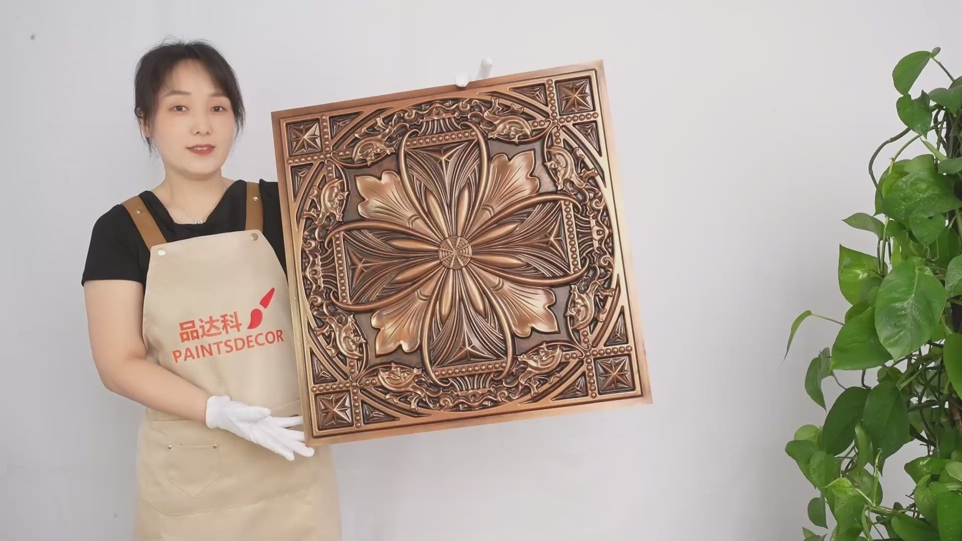 PAINTSDECOR PL10 product collection video